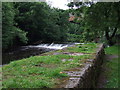 Weir on the River Kelvin