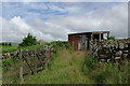 Shed at sheepfold near Upper Craigenbay