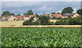 View across beet field to Mendlesham