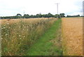 Footpath towards Grove Farm from Oak Farm Lane