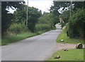 Lane towards Mendlesham Green