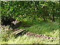 Footbridge across ditch, Barns Plantation