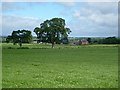 NY5362 : Cotehill Farm by Rose and Trev Clough