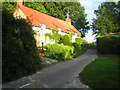 Cottages, Lower Mooray near Chilmark