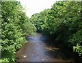 River Colne - Wakefield Road