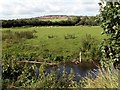 Looking to Darton Lane from the River Dearne