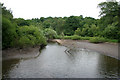 SJ8955 : Head of Trent at Knypersley Reservoir by Kate Jewell