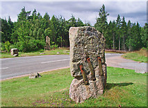 NO5993 : Dardanus Stone with Millennium stone in background by C Michael Hogan
