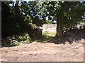 Walled garden adjoining the Stable Block