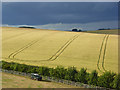 Farmland, Fawley