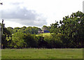 Fields at Pant-cefn, Llanarth