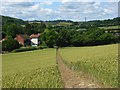 Footpath through wheat, Radnage