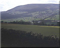 Hillside pasture at Llanwenarth Breast