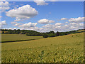 Wheat, Radnage