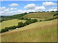 Hillside below Bledlow Ridge