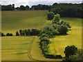 Farmland, Radnage