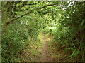 Bridleway to Haddon Wood