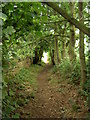 Bridleway between Haddon Wood and Burton