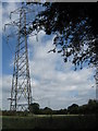 Pylon and power line