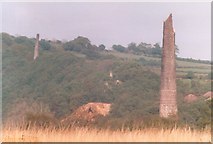 SX4568 : Mine and brickworks chimneys at Maddacleave Wood by robert moss