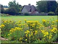 Faringdon golf course, south of Faringdon