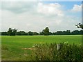 Farmland, Faringdon Park