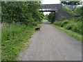 Trans Pennine Trail