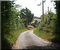 Waldringfield Road emerging from trees