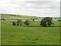 Pastureland, Lochlyoch