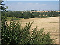 View northwards unfolding beyond western edge of woodland