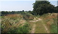 Track junction, heading towards lane south of Newbourne