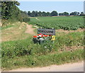 Newbourne village road sign with a touch of colour