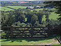 Gateway in drystone dyke