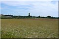 Field Near Charminster