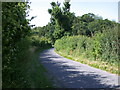 Tertiary road north of Wimpole estate