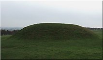 N9259 : Mound at the Hill of Tara by sarah gallagher
