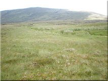 NH6319 : Beinn Bhuidhe Across Grouse Moor by Sarah McGuire