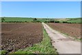 Farm track near Friar Waddon