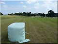 Rectangular silage  bales