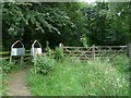 Newly created footpath through Potter Hole Plantation