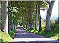 Avenue to Penrallt, Aberporth