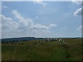 Model aeroplane flying at Westwood Country Park