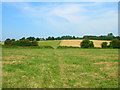 Bridleway to Comphurst Lane