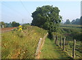 Footpath beside railway line