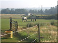 Grazing land for horses near Moat Farm