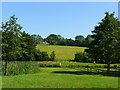 View across the Rudhall Brook