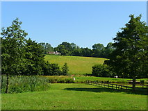 SO6525 : View across the Rudhall Brook by Jonathan Billinger