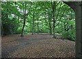 Nashdom Abbey - Woodland path