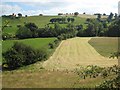 Valley below Llanllugan