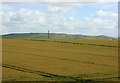 2008 : Wheatfield and pylon near Patney